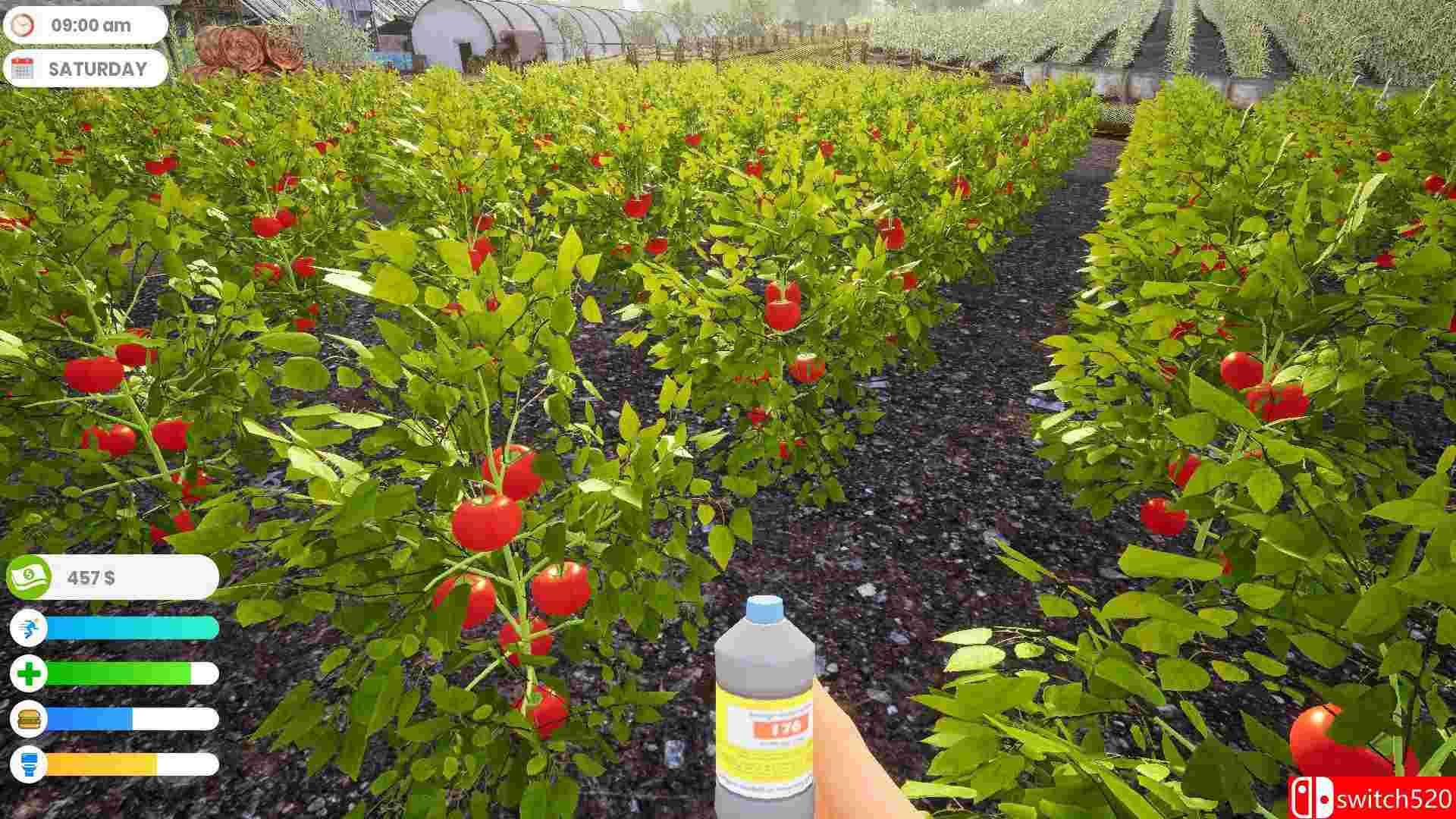 《农民生活模拟器（Farmer Life Simulator）》DOGE镜像版[EN]_2