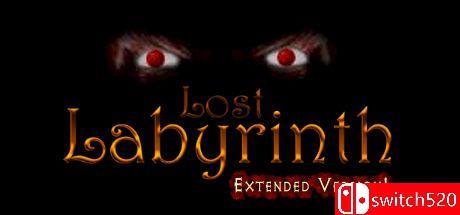 《失落迷宫扩展版（Lost Labyrinth Extended Version）》v1398089 P2P硬盘版[CN/EN/JP]