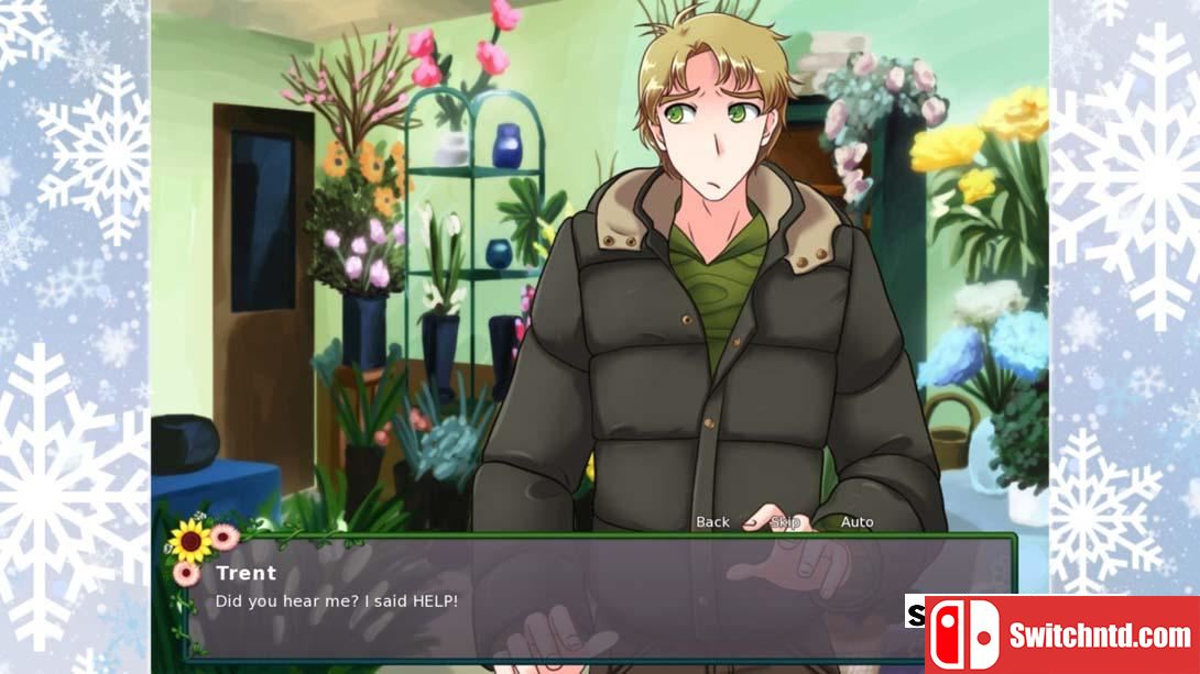 【美版】恋爱花店:费尔布鲁克之冬 .Flower Shop: Winter In Fairbrook 英语_6