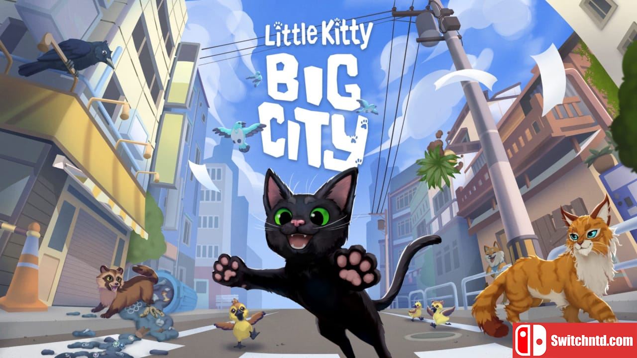 小猫咪大城市丨Little Kitty, Big City_0