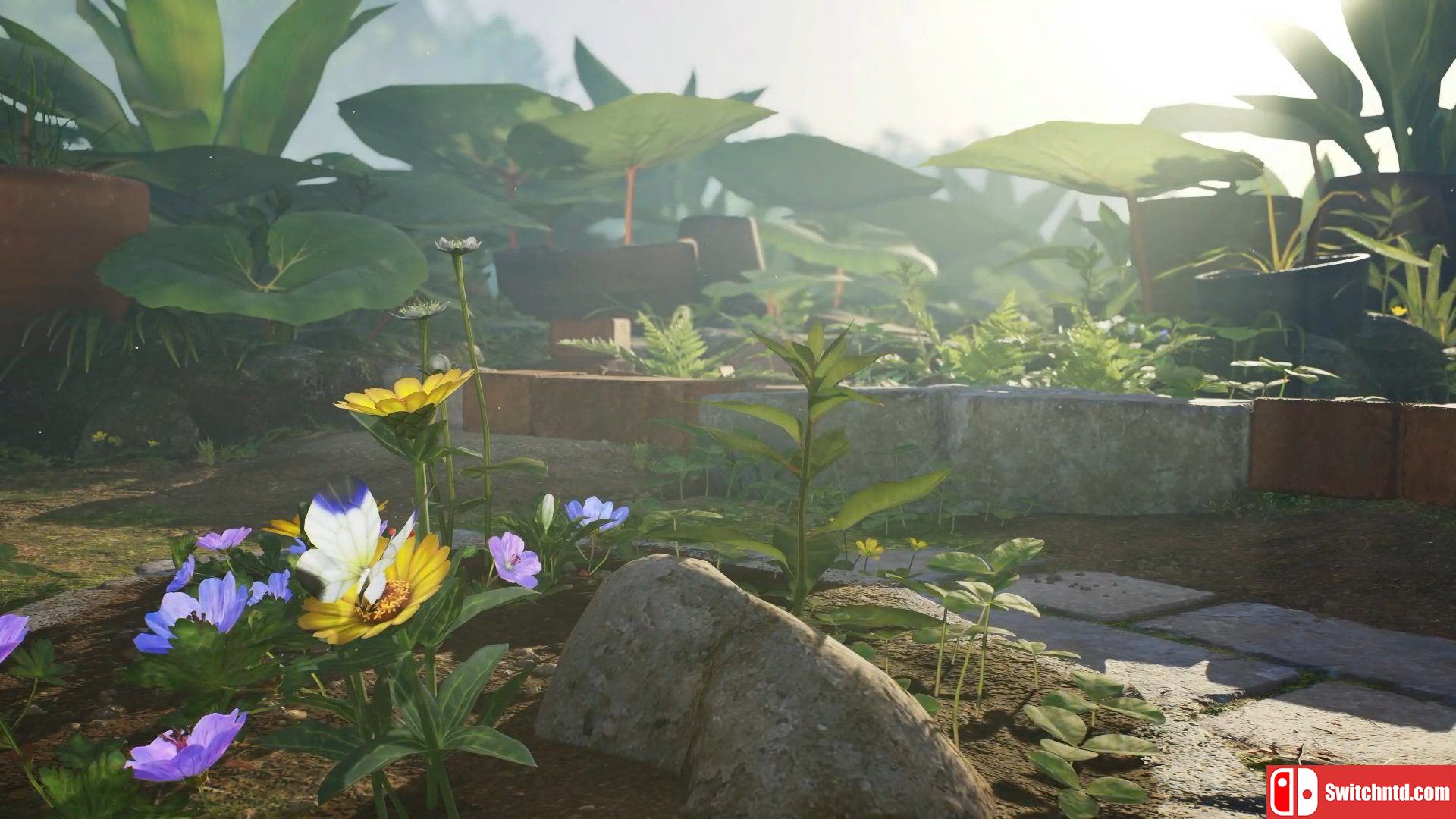 皮克敏4 Pikmin 4_0