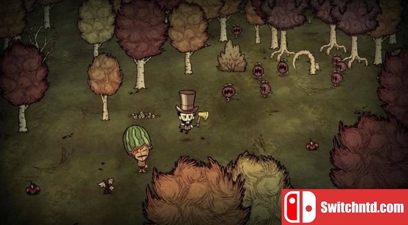 饥荒 联机版 Don’t Starve Together_2