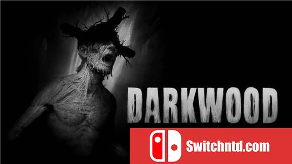 阴暗森林  Darkwood_0