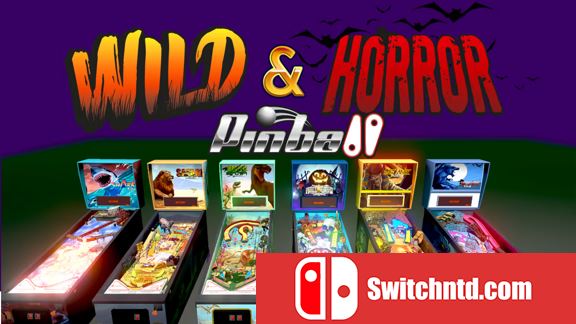 狂野和恐怖弹子球  Wild and Horror Pinball_0