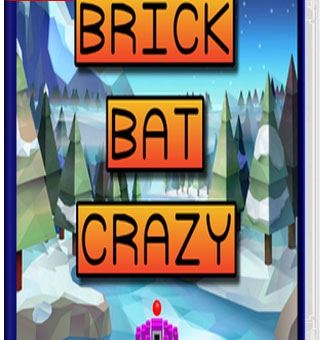 疯狂砖蝙蝠  Brick Bat Crazy_0