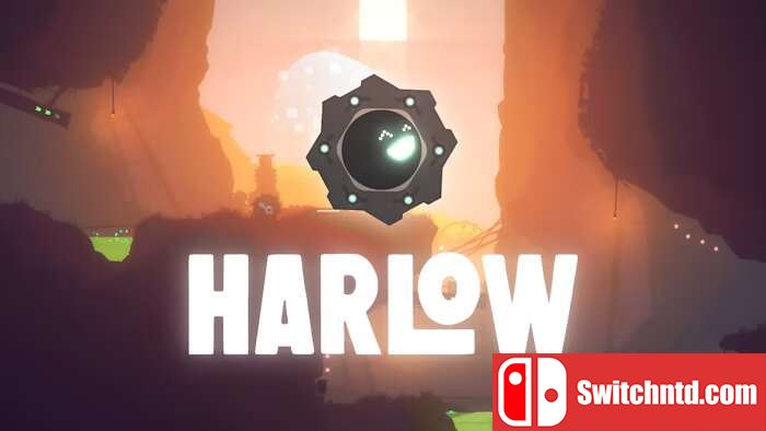 哈洛丨Harlow_0