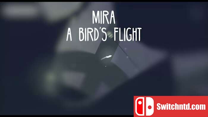 米拉：鸟儿的飞行丨Mira A Birds Flight_0