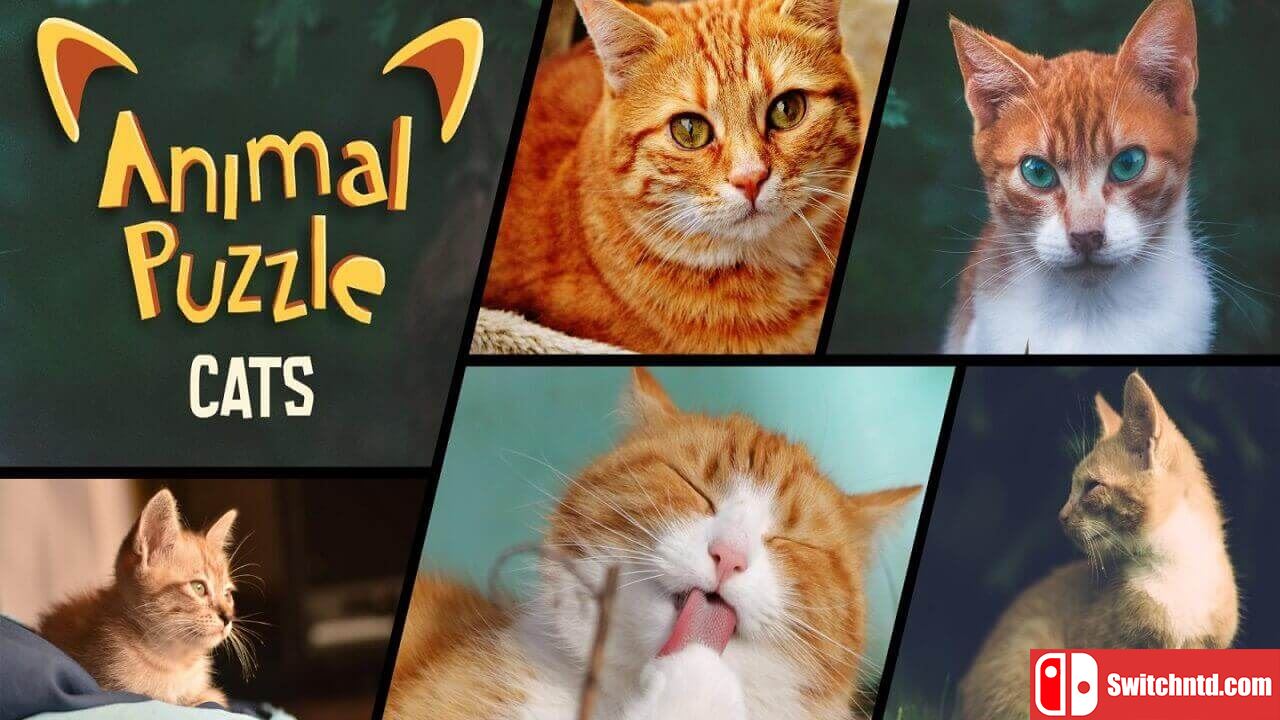 动物拼图猫丨Animal Puzzle Cats_0