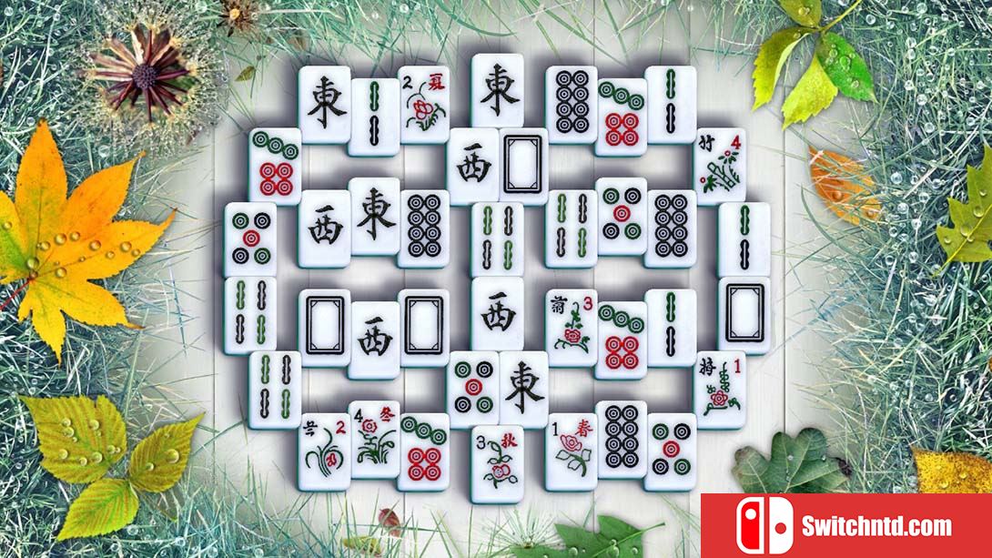 纯净麻将 Pure Mahjong 英语_3