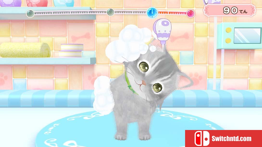 汪喵宠物店 与可爱宠物相伴的每一天 Wannyan Pet Shop Kawaii Pet... 日语_2