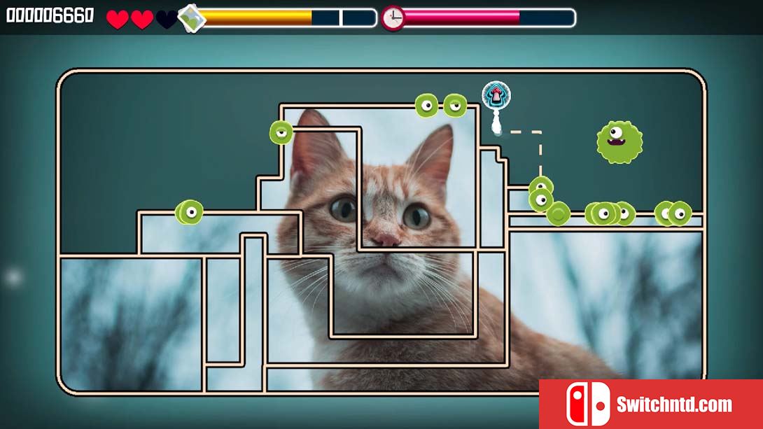 【美版】动物拼图猫 Animal Puzzle Cats 中文_3