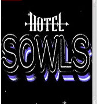 索斯酒店 Hotel Sowls_0