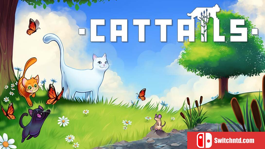 猫尾 变猫.Cattails 英语_0