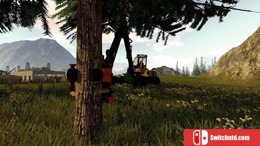 模拟林业 Forestry The Simulation 英语_1