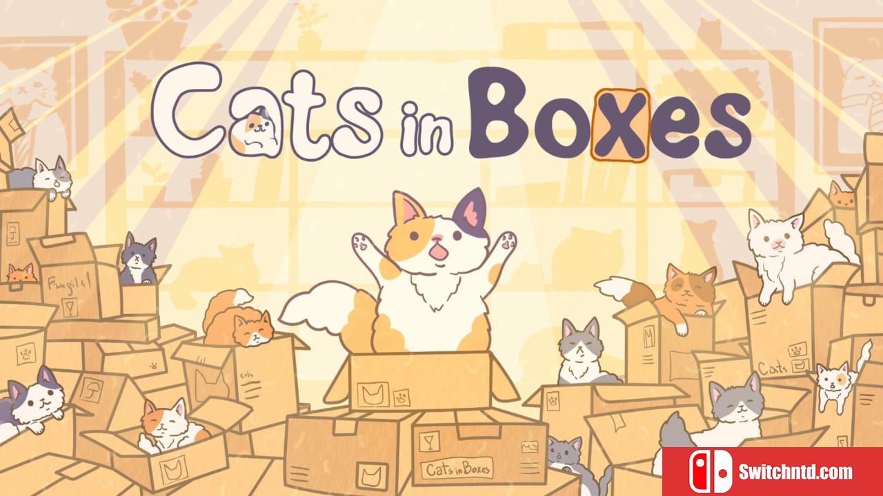 盒中猫丨Cats in Boxes_0