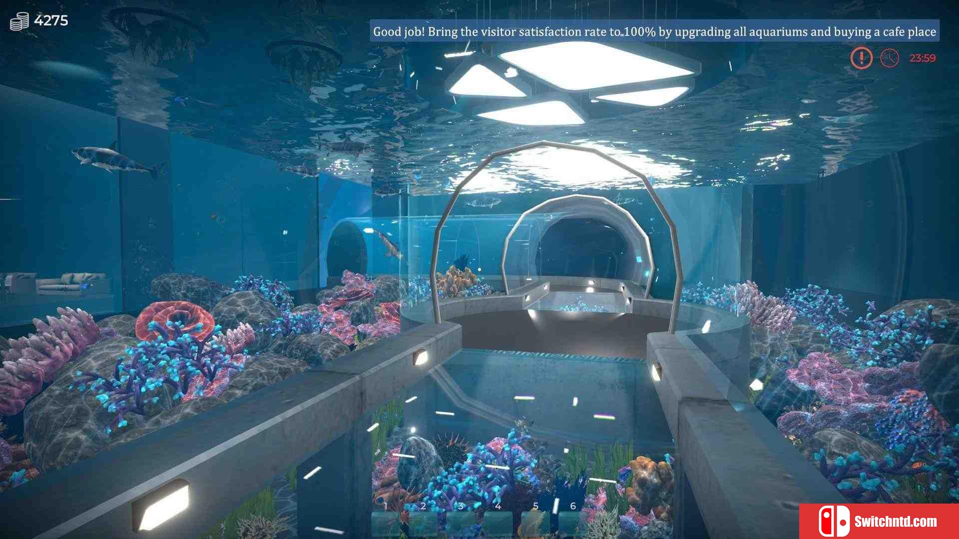 《水族馆（Aquarist）》官方中文 集成日本花园DLC TENOKE镜像版[CN/TW/EN/JP]_2