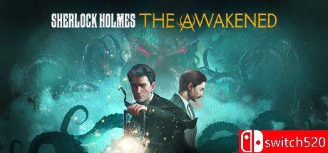 《福尔摩斯：觉醒（Sherlock Holmes The Awakened）》v1.1 Razor1911镜像版[CN/TW/EN/JP]