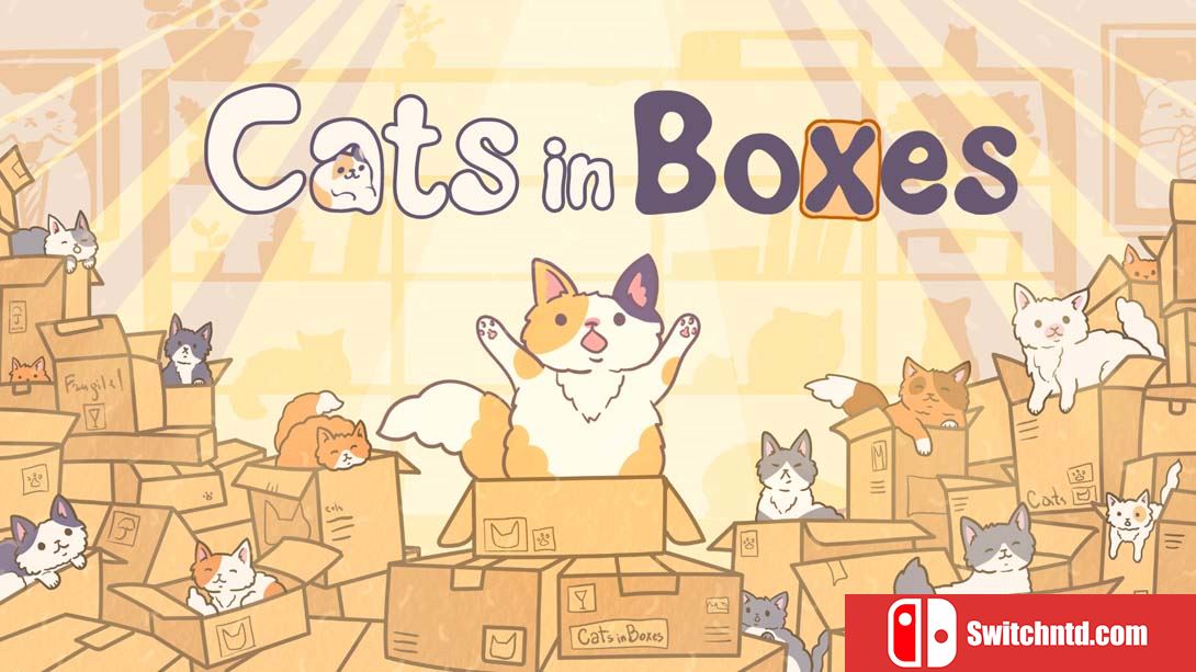 【美版】盒中猫 .Cats in Boxes 中文_0