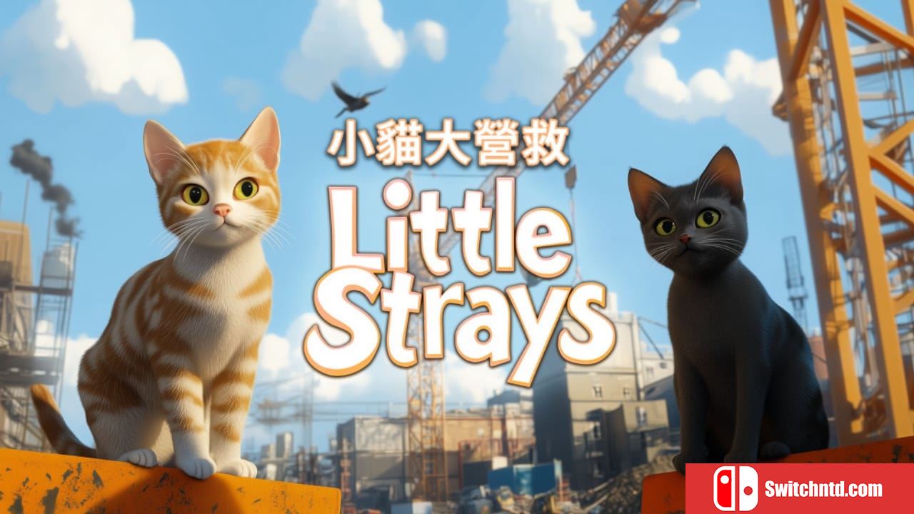 小猫大营救丨Little Strays_0