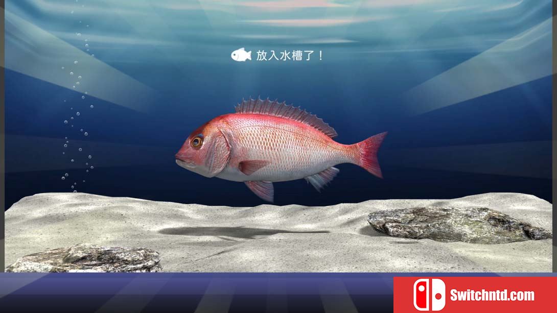 户外钓鱼 夏日时光 .Reel Fishing Days of Summer（0.1）金手指 金手指_4