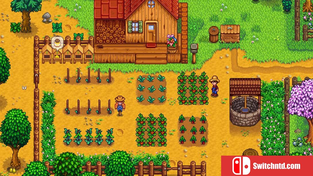 【美版】星露谷物语 Stardew Valley 中文_6