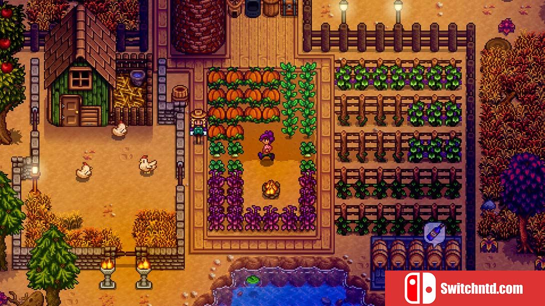 【美版】星露谷物语 Stardew Valley 中文_1